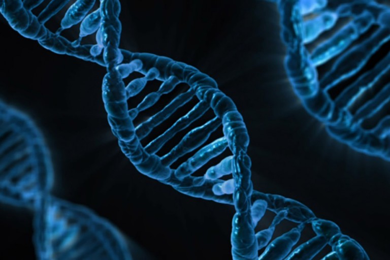 double helix DNA