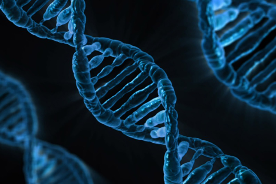double helix DNA