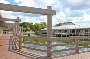 Tampa Hypnotherapy Training