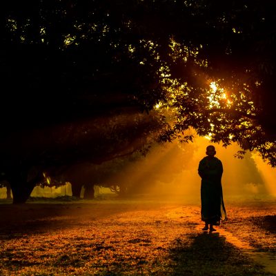 woman standing in a tree farm
