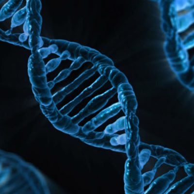 double helix DNA