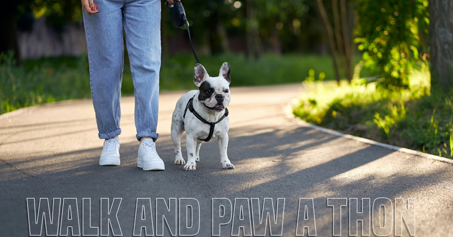 Walk and paw a thon | sports fundraiser