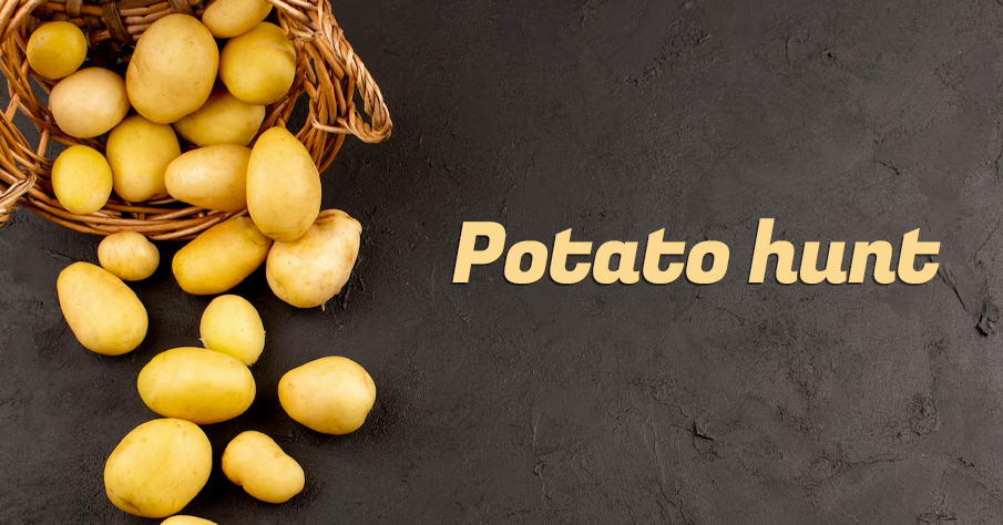 Potato hunt fundraising ideas