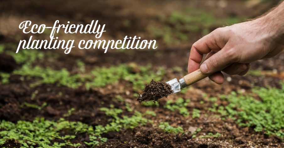 Eco-Friendly-Planting-Competition - Club fundraising ideas