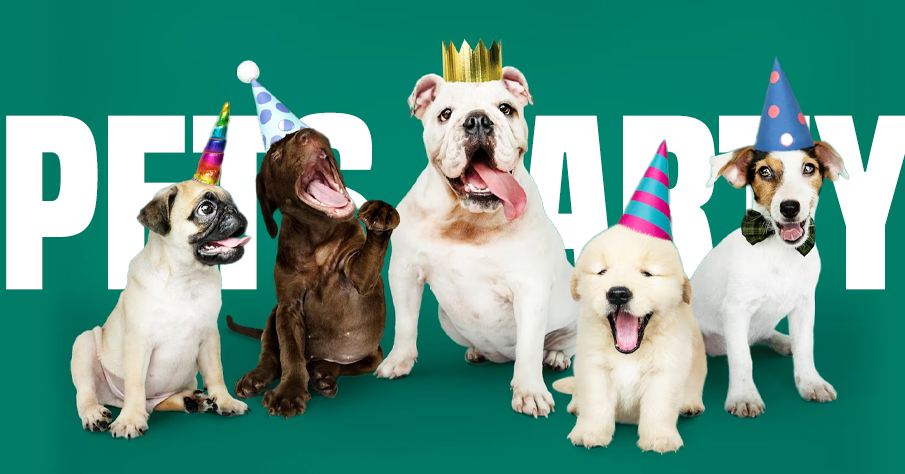 Pets Party - Club fundraising ideas