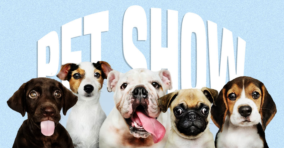 Pet-Show | fundraising event ideas