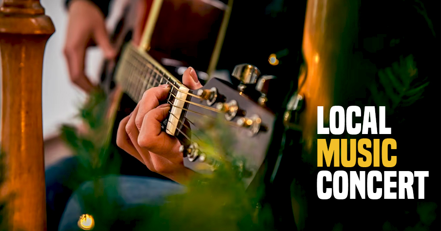 Local Music Concert | individual fundraising ideas