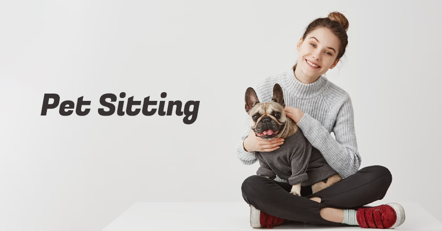 Pet Sitting | individual fundraising ideas